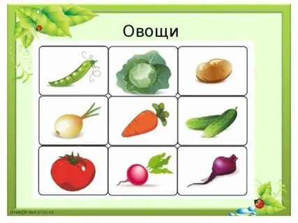 Карточки овощи распечатать