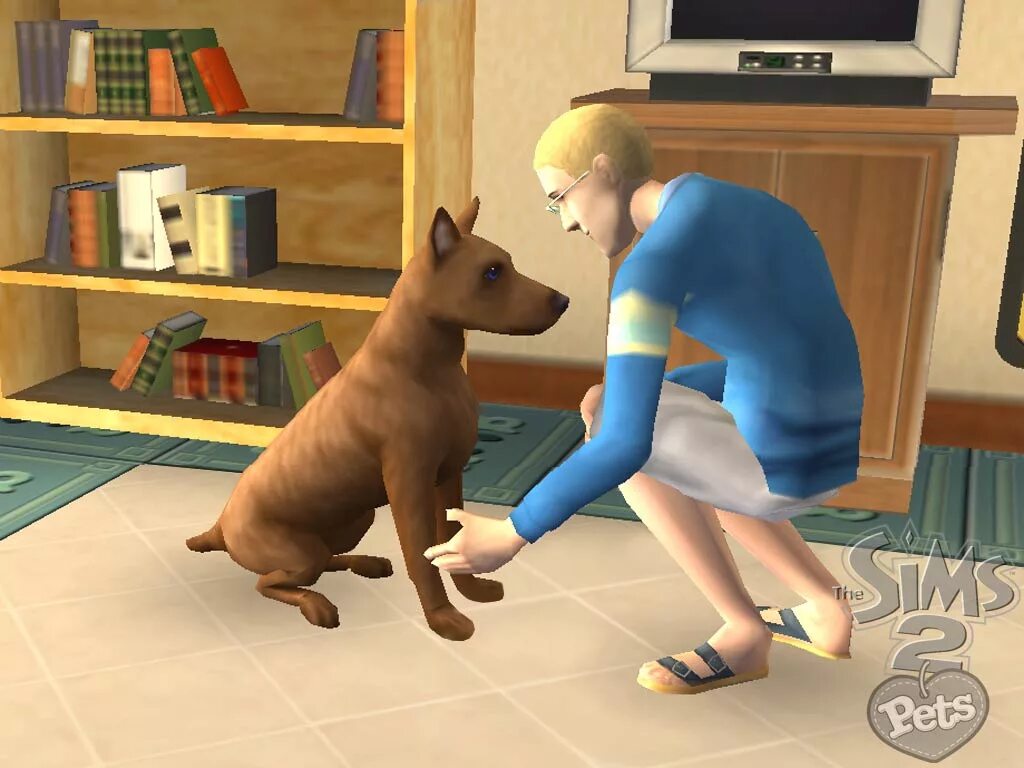 The SIMS 2: питомцы. The SIMS 2 Pets (ps2). Игра the SIMS 4 питомцы. The SIMS 2 Wii. Симс петс