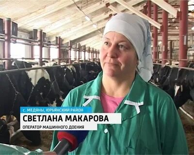 Холмогорский племзавод