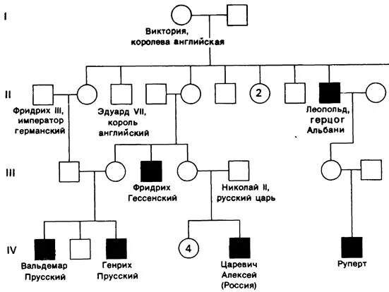 Родословная по гемофилии королевы Виктории. Генеалогическое Древо королевы Виктории гемофилия. Родословная семьи королевы Виктории наследование гемофилии.