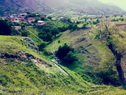 Фотография кули