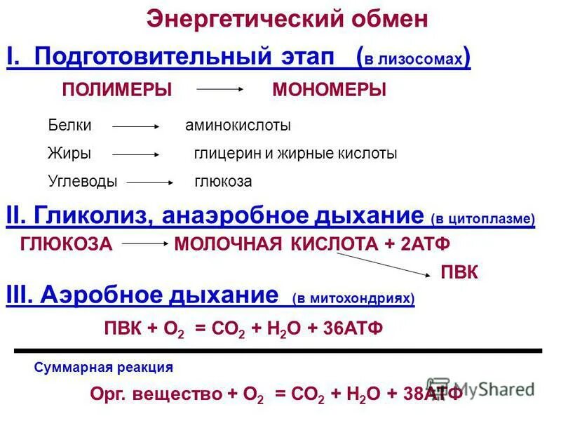 Реакции энергетического обмена происходит в. Этапы энергетического обмена реакции. Реакции энергетического обмена происходит в. Реакции энергетического обмена происходит в. Схема процессов энергетического обмена.