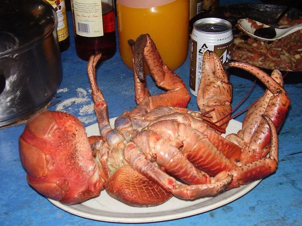 самый самый членистоногий