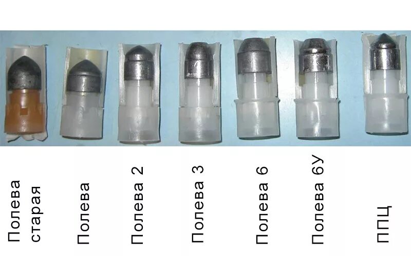 Пуля Полева 12 калибра. Подкалиберные пули 12 калибра Полева. Пуля Полева 6 12 калибра. Пуля Полева 3 12 калибра.
