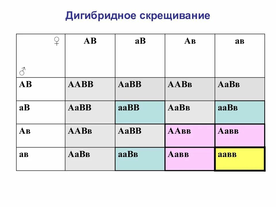 Решетка Пеннета дигибридное скрещивание. Решётка Пеннета для дигибридного. Таблица дигибридного скрещивания генетика. AABB * AABB решётка Пеннета.