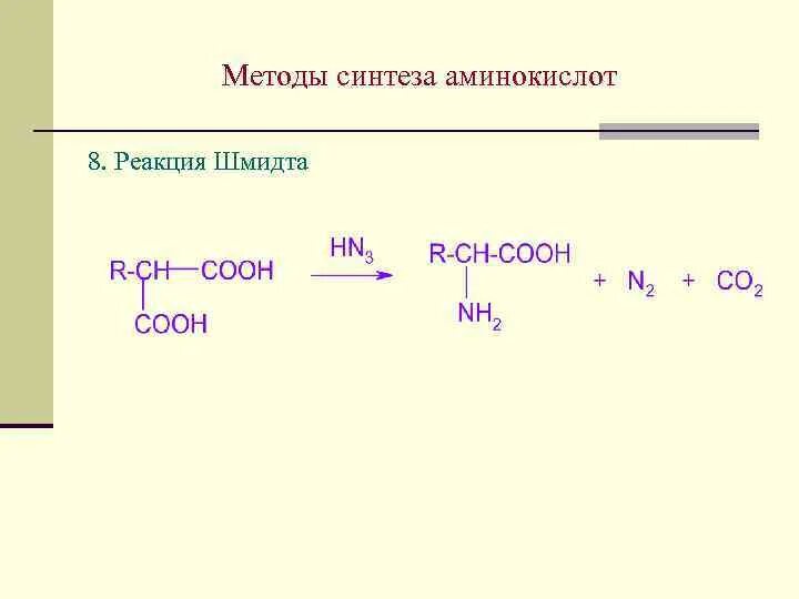 Белки синтезируются из аминокислот
