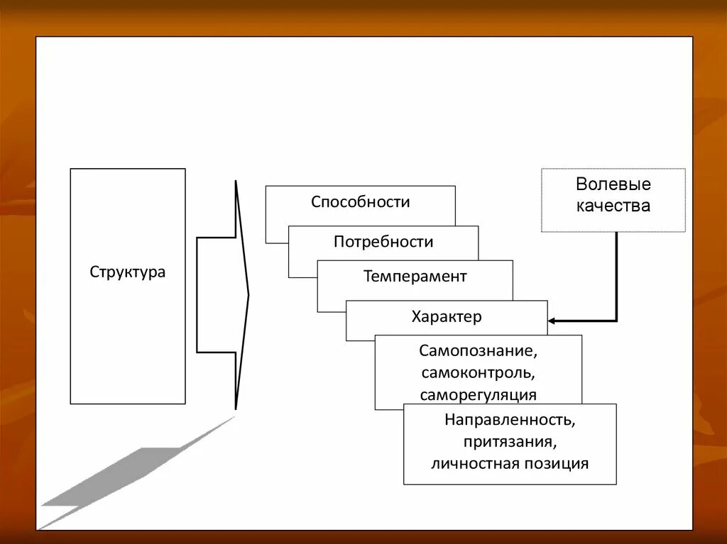 Структура темперамента. Темперамент в структуре личности. Темперамент и волевые качества. Компоненты в структуре темперамента. Психологическая структура темперамента