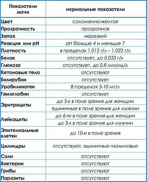 Показатели мочи при цистите. Цистит оам показатели. анализ мочи при цистите. анализ мочи при цистите у женщин. цистит анализ мочи показатели.