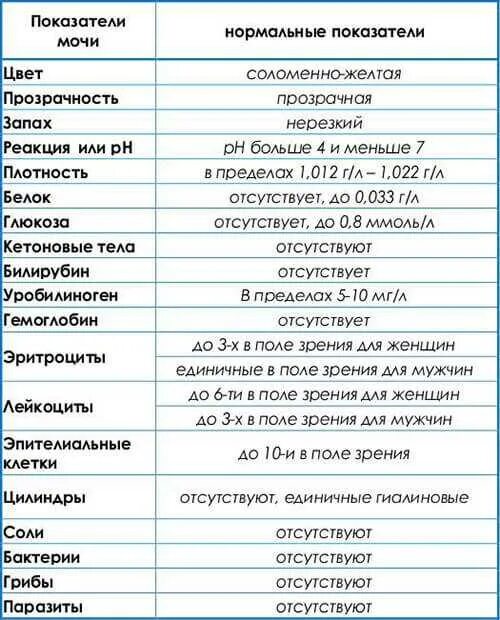 Анализы нужно сдавать при цистите. Цистит ОАМ показатели. Анализ мочи. Общий анализ мочи при цистите. Анализ мочи при цистите у женщин показатели.