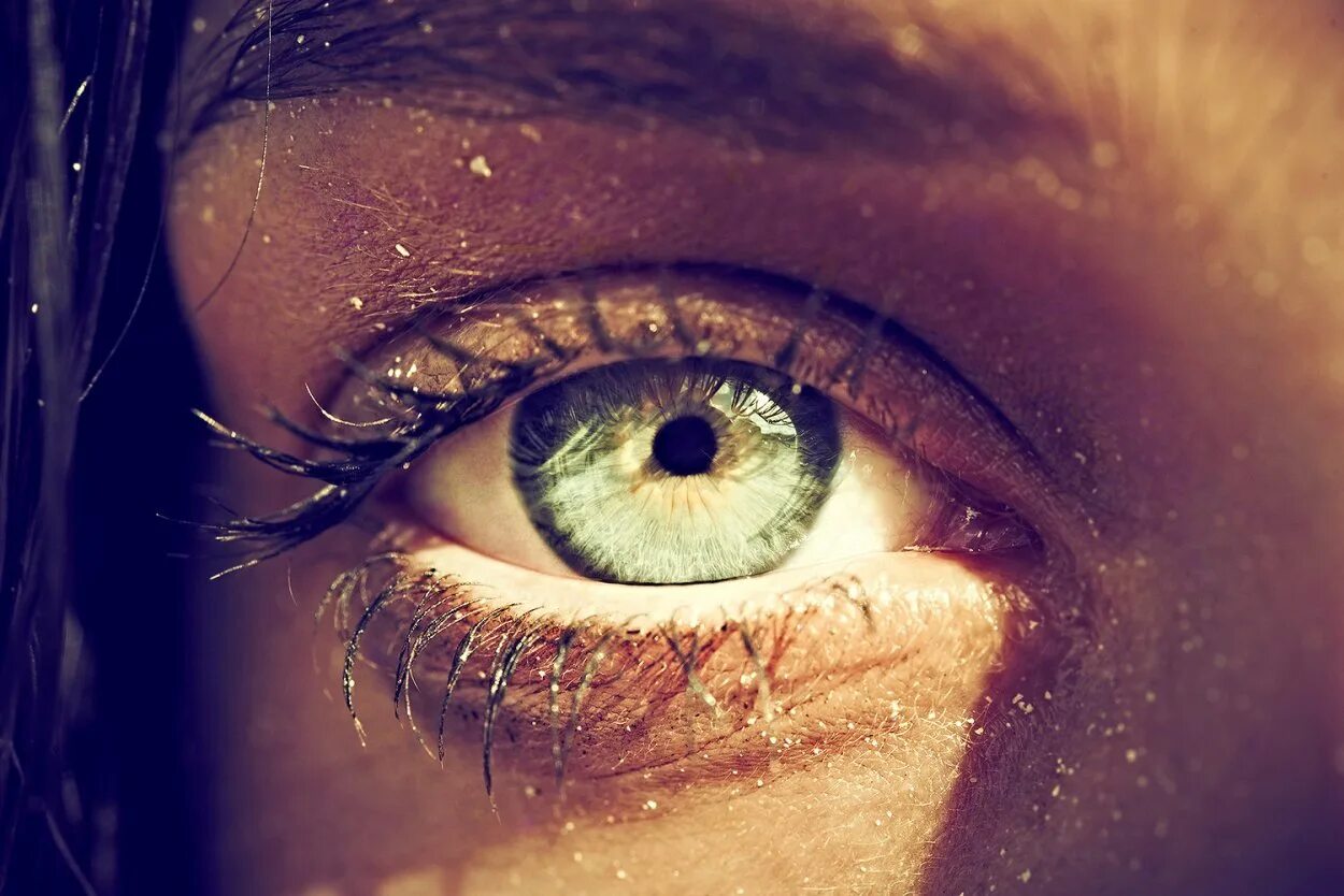 Ее глаза видят свет. Красивые глаза. Фото глаза. Глаза девушки. Глаз и солнце.