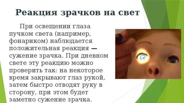 Не реагируют на свет. Исследование зрачка на свет. Выключатель прикол. Не реагируют на свет. Вещество реагирует на свет.
