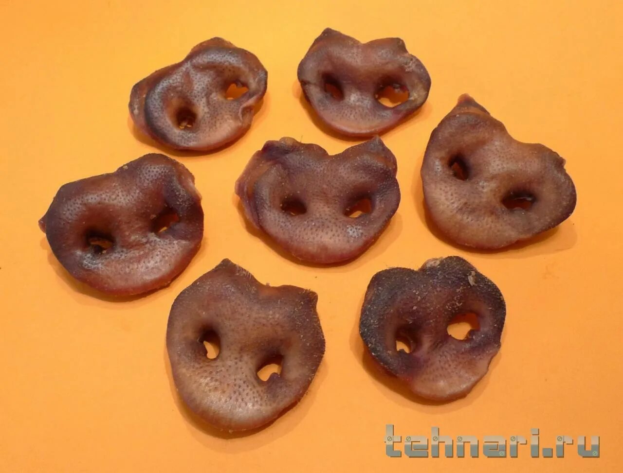 Пятак свиной 150г. Сушеные пяточки свиные для собак. Свиные пятачки для собак. Лакомство "пятачки свиные". Пятак свиной 35шт.