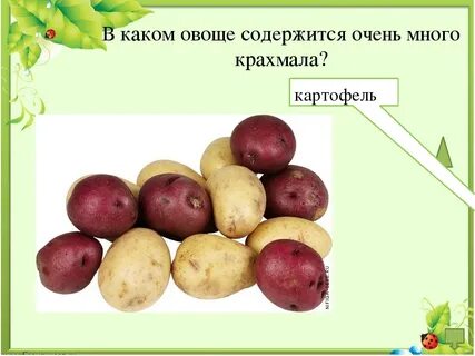 В каком овоще содержится