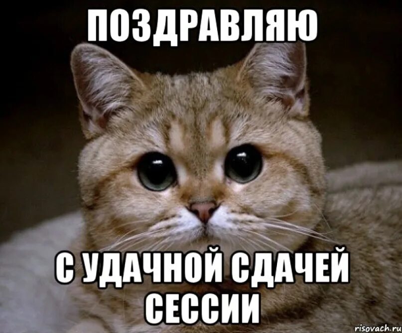 Не беси меня и мы подружимся картинки. Привет ирина. Мари краймбрери я. Че зыришь. Марина краймбрери.