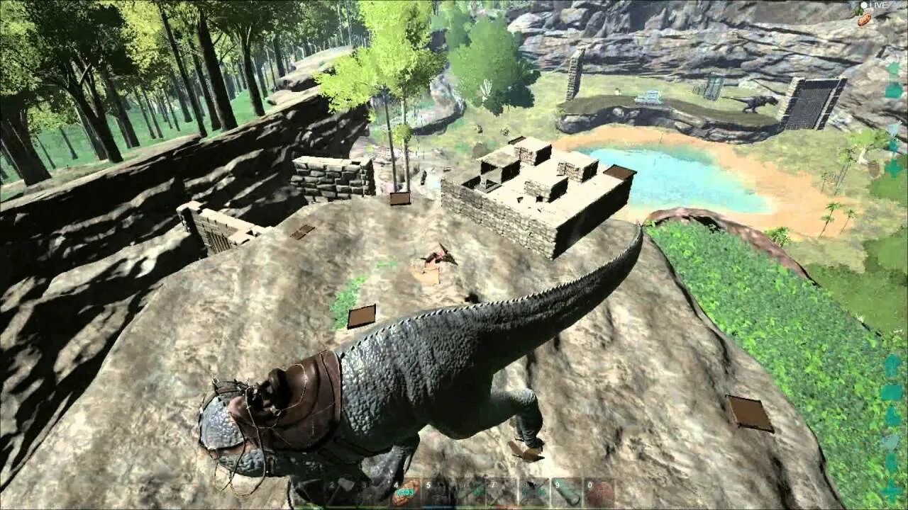 Best ark