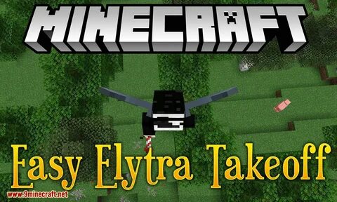 Elytra roll