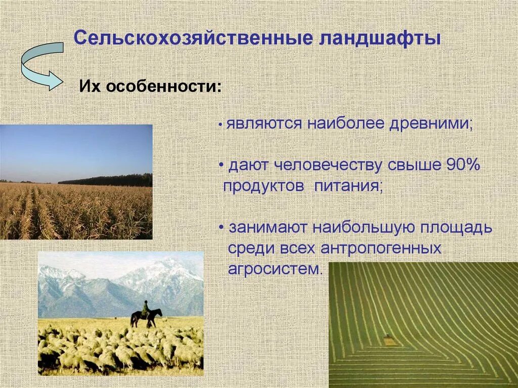 Характеристика сельского хозяйства образец. План ведения личного подсобного хозяйства заполненный образец. Характеристика сельского хозяйства образец. Характеристика сельского хозяйства образец. С/х предприятия.