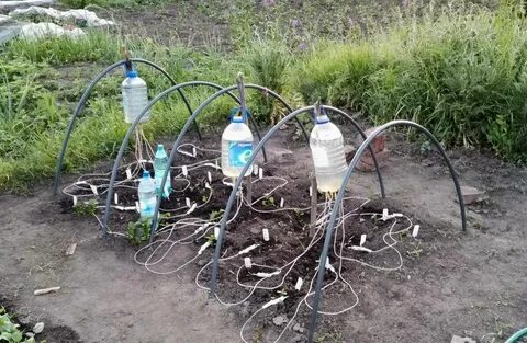 Полив из бочки шлангом и пластиковой бутылки