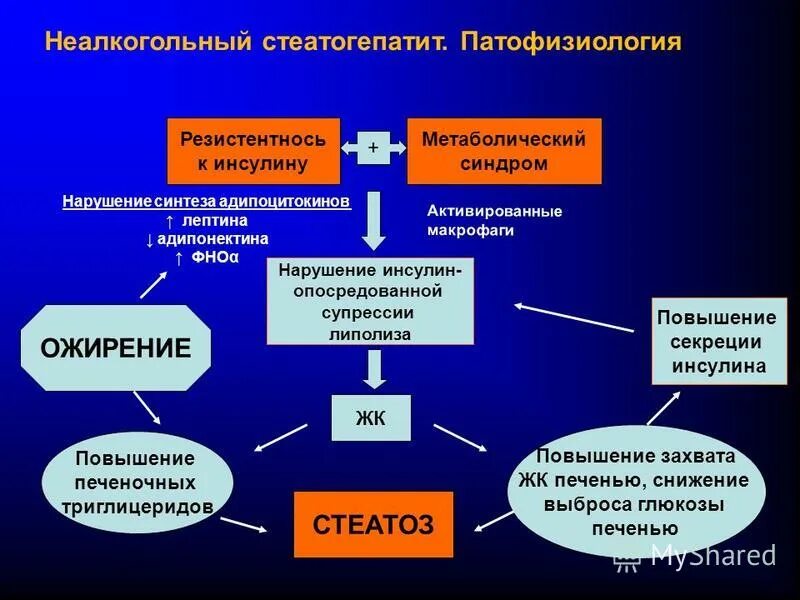 Супрессия иммунного ответа