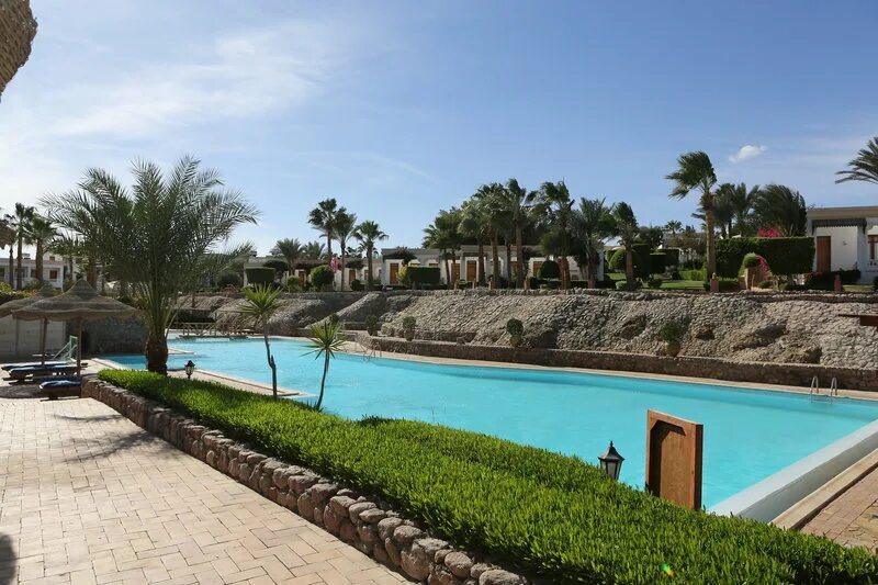 Клаб риф 4 шарм эль шейх. Отель club reef hotel. club reef resort 4*. club reef 4 египет шарм-эль-шейх. sharm reef resort 3*.