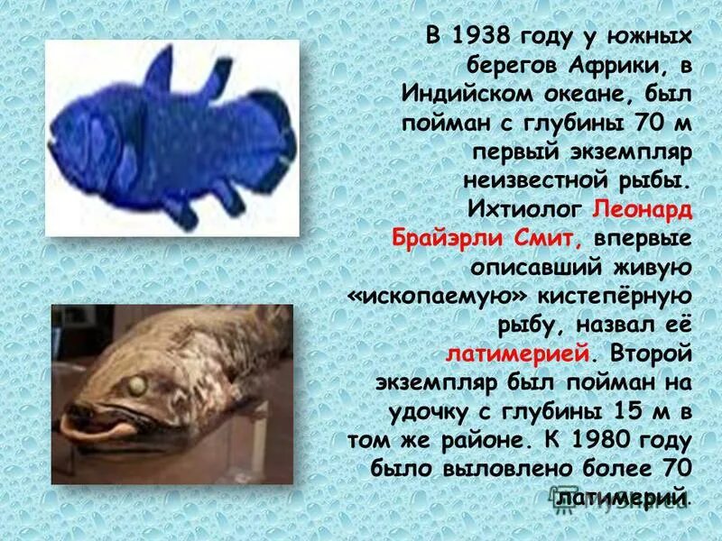 аквариумные рыбки презентация 1 класс. строение рыбы для детей. аквариумные рыбки презентация. рыбы презентация 6 класс 8 вид природоведение. рыбы пресноводные и морские для детей.