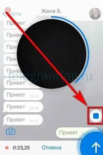 Как сделать анимации в тг в кружочке