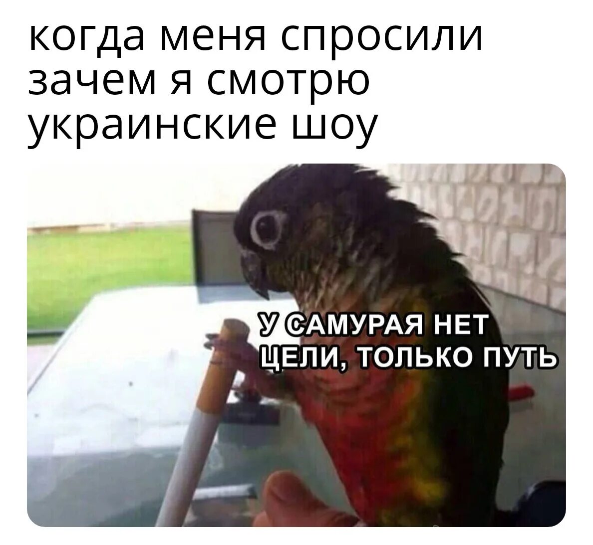 Фраза у самурая нет цели. У самурая нет цели только путь. нет цели есть путь. у самуря еет цели есть толькопуть. усмураянетцелитолькопуть.