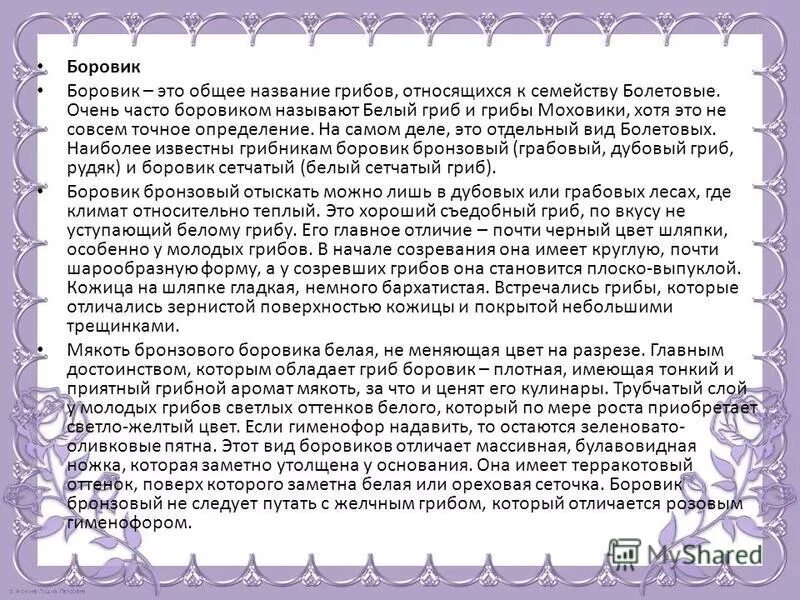 фон для презентации происхождение фамилии. происхождение фамилии боровиков. национальность по фамилии. происхождение фамилии боровик. происхождение фамилии боровик.