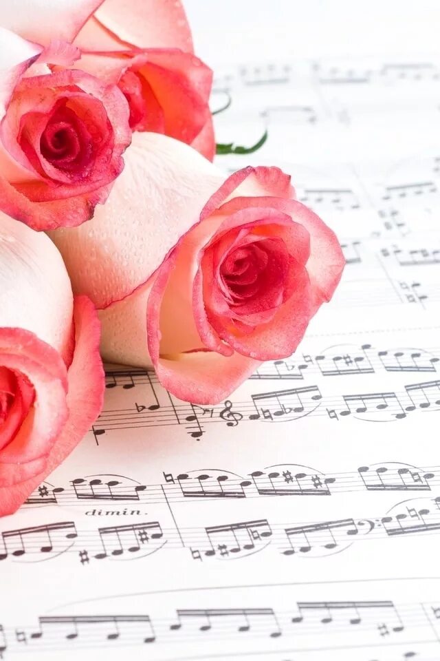 Музыкальное поздравление. Музыкальный фон. Happy birthday музыка. Happy birthday musician. Красивые музыки для день рождения.