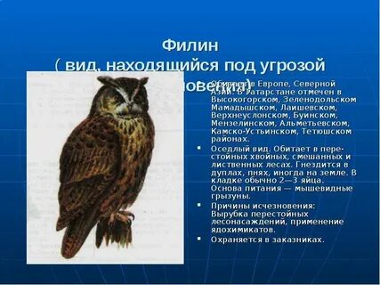 Животные занесенные в красную книгу республики татарстан
