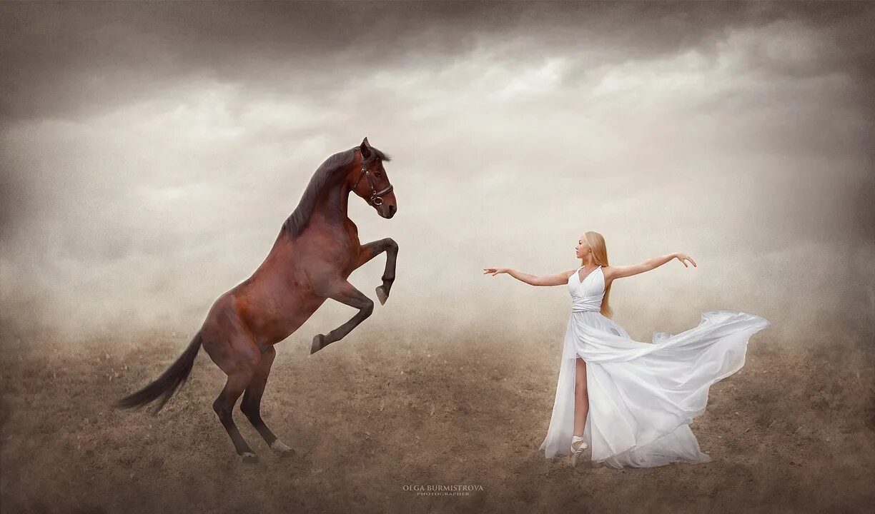 Балерина и лошадь. Танец с лошадью. Фотодень с лошадьми. Лошадь танцует.