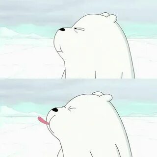 You are bear