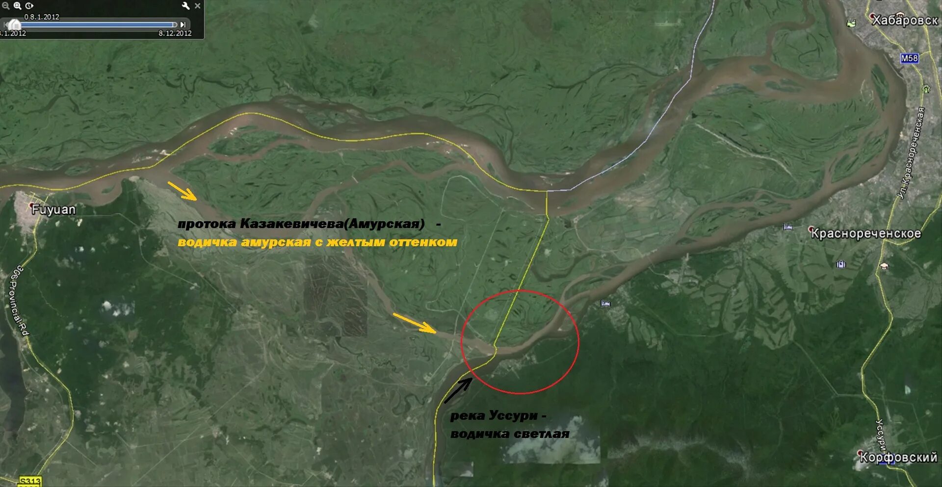 Форум амурский берег хабаровск. Протока кривая Хабаровск. Кривая протока Хабаровск на карте. Амурская протока на карте. Карта Хабаровского края со спутника.