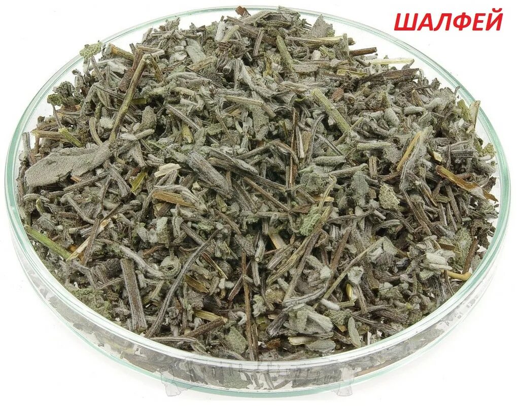 Шалфей лекарственный сырье. Листья шалфея сырье. Листья шалфея лекарственного лрс. Листья шалфея лрс. Шалфей лекарственный сырье.