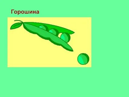 Картинка горошина из сказки
