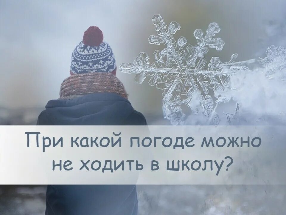 Мороз в школу не идем. Морозы в школу не ходить. Береги нос в сильный Мороз. Школа Мороз. Мороза стань сильнее