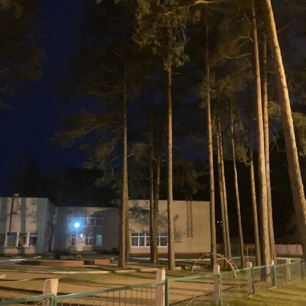 Хвойная минск. Хвойная минск. Сосны минск. Хвойная минск. Хвойная минск.