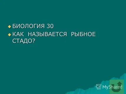 Биология 30