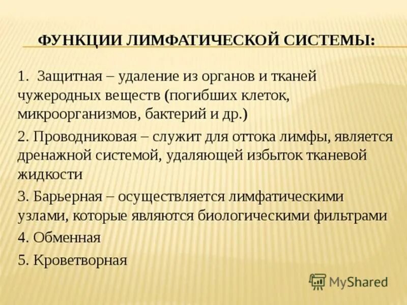 Функции лимфатической стмтпмы. Функции лимф системы. Какую функцию выполняет лимфатическая система. Лимфангион функции. Функции лимф системы.