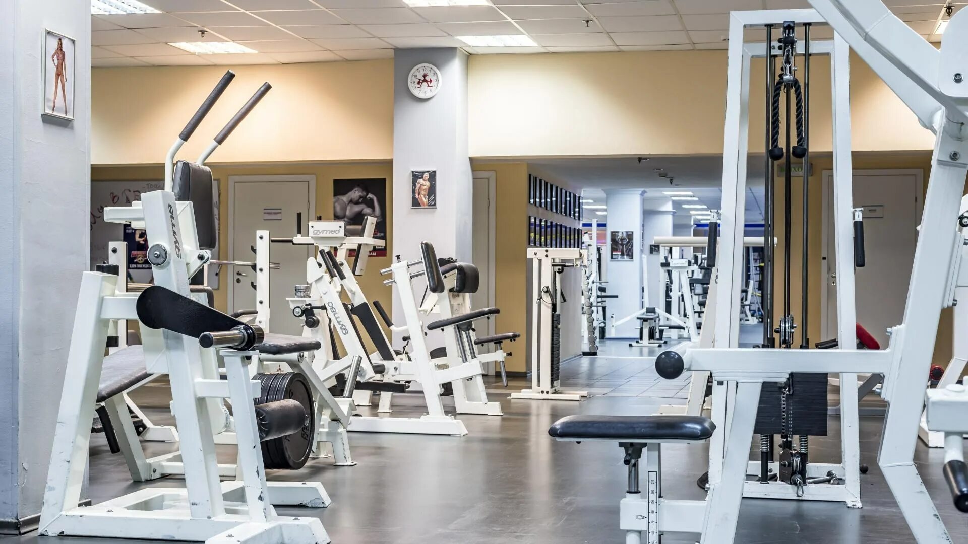 Спортивный зал в отеле. Грин сити спортзал. Грин сити зеленоград. Солнечный парк отель и спа солнечногорск. Спортзал парк.