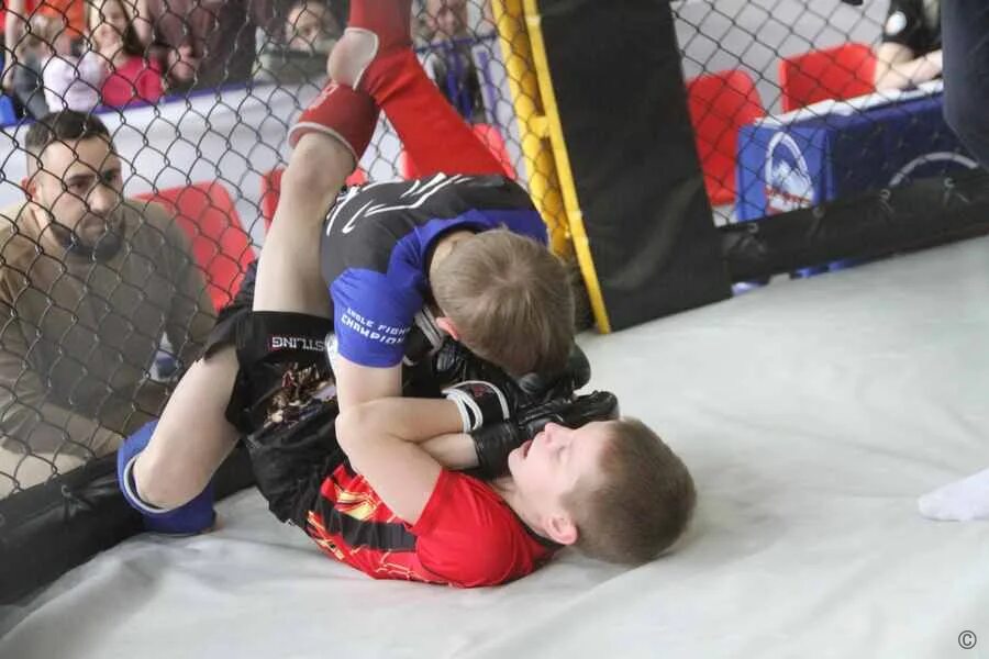 Смешанные единоборства барнаул. Смешанные единоборства барнаул. Организация смешанных единоборств осе. Смешанные единоборства барнаул. Топ тим сибирия.