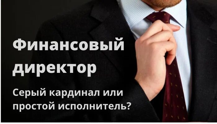 Финансовый директор. Финансы для руководителя. Финансовый директор картинки. Исполнительный и финансовый директор.