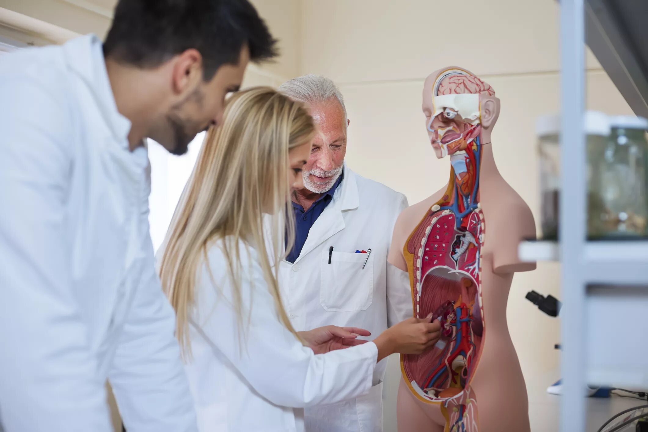 In the practical anatomy class we. Анатомический класс с людьми. анатомический класс pl-anatomy class&quot; фмд-анкла0-05.