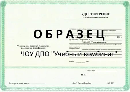 Чоу дпо дом науки и техники