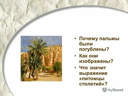 Пальма какой жанр