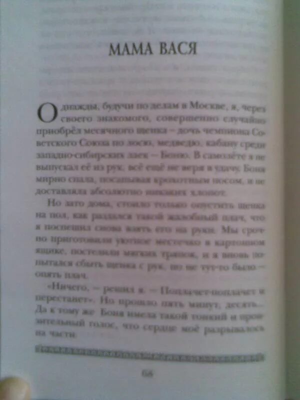 Рассказ мама вася. Сказка про машу и васю. Мама она такая. Рассказ мама вася. Рассказ мама вася.