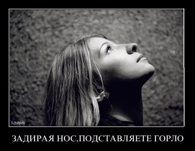 Высокомерный нос. Девушка задирает нос. Человек задравший нос. Задирать нос. Человек задравший нос.