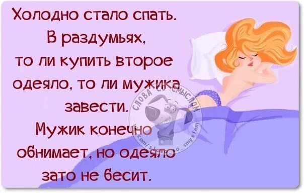 Холодно это высказывание или нет