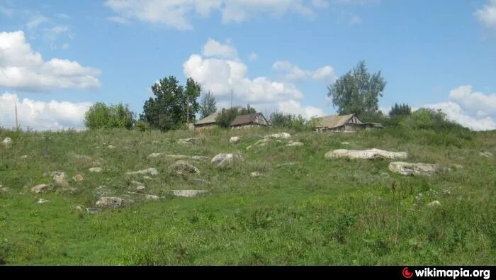 Село гнилуша воронежская губерния. Гнилуша воронежская область. Деревня гнилуша. Гнилуша воронежская область. Деревня гнилуша.