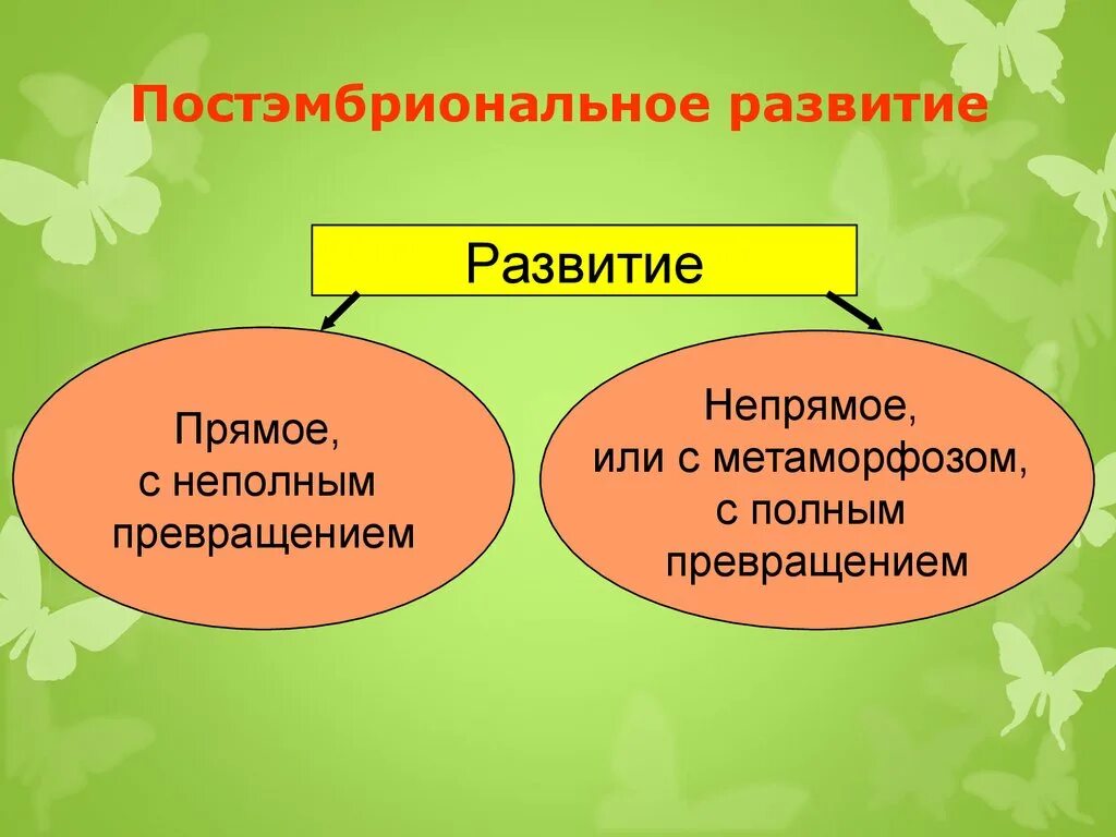 Типы постэмбрионального развития схема. Типы постэмбрионального развития животных. Прямой Тип постэмбрионального развития. Типы развития прямое и Непрямое.